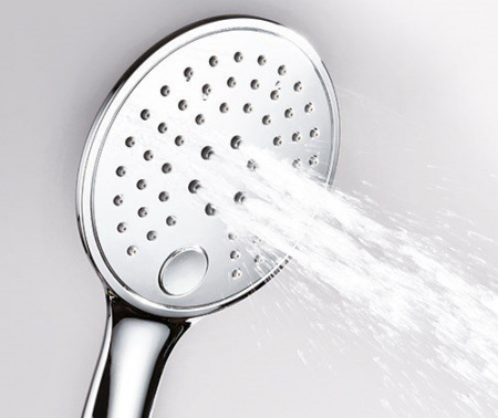 Лейка душевая WasserKRAFT  A060  
